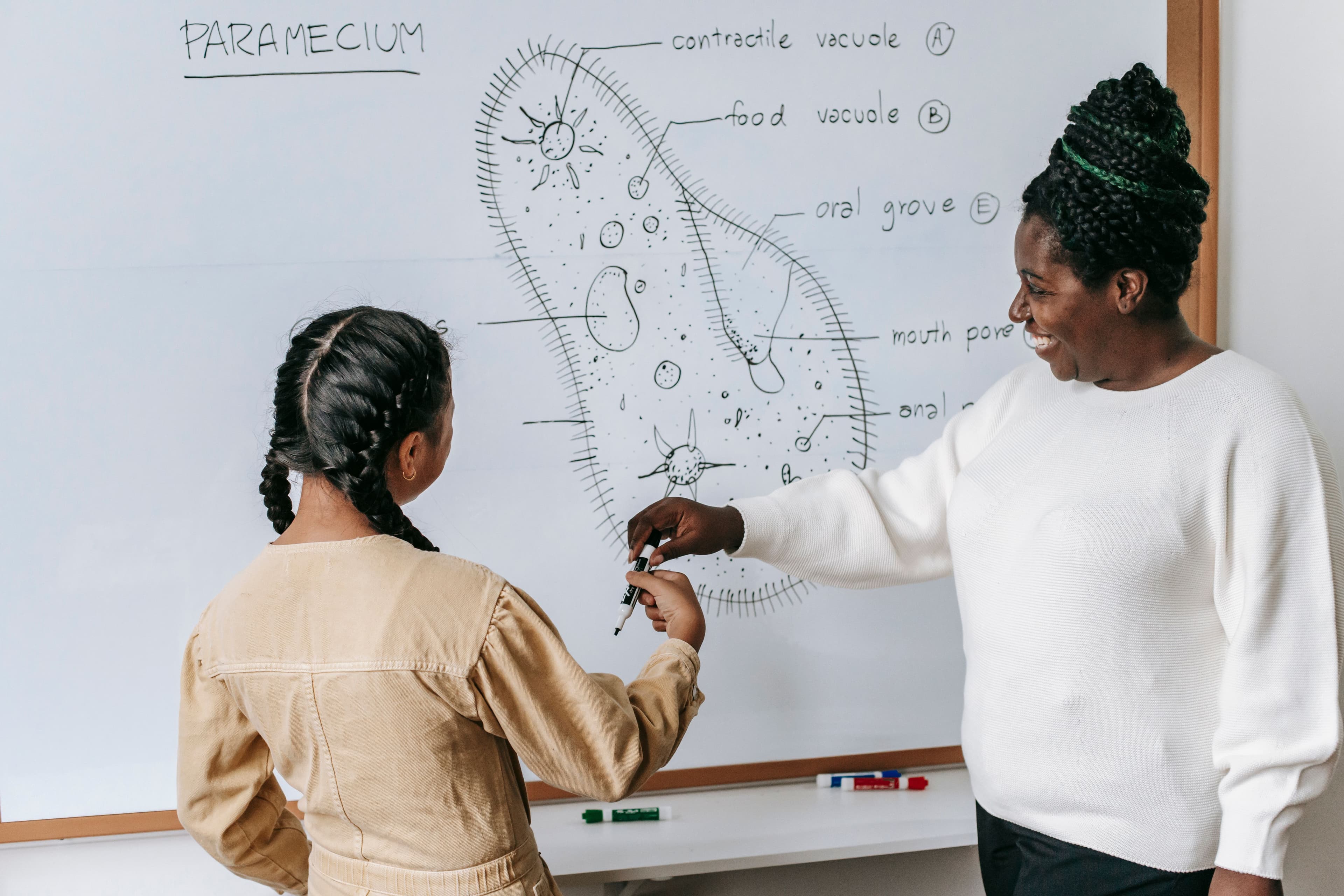 Instructor explaining a diagram on a whiteboard.