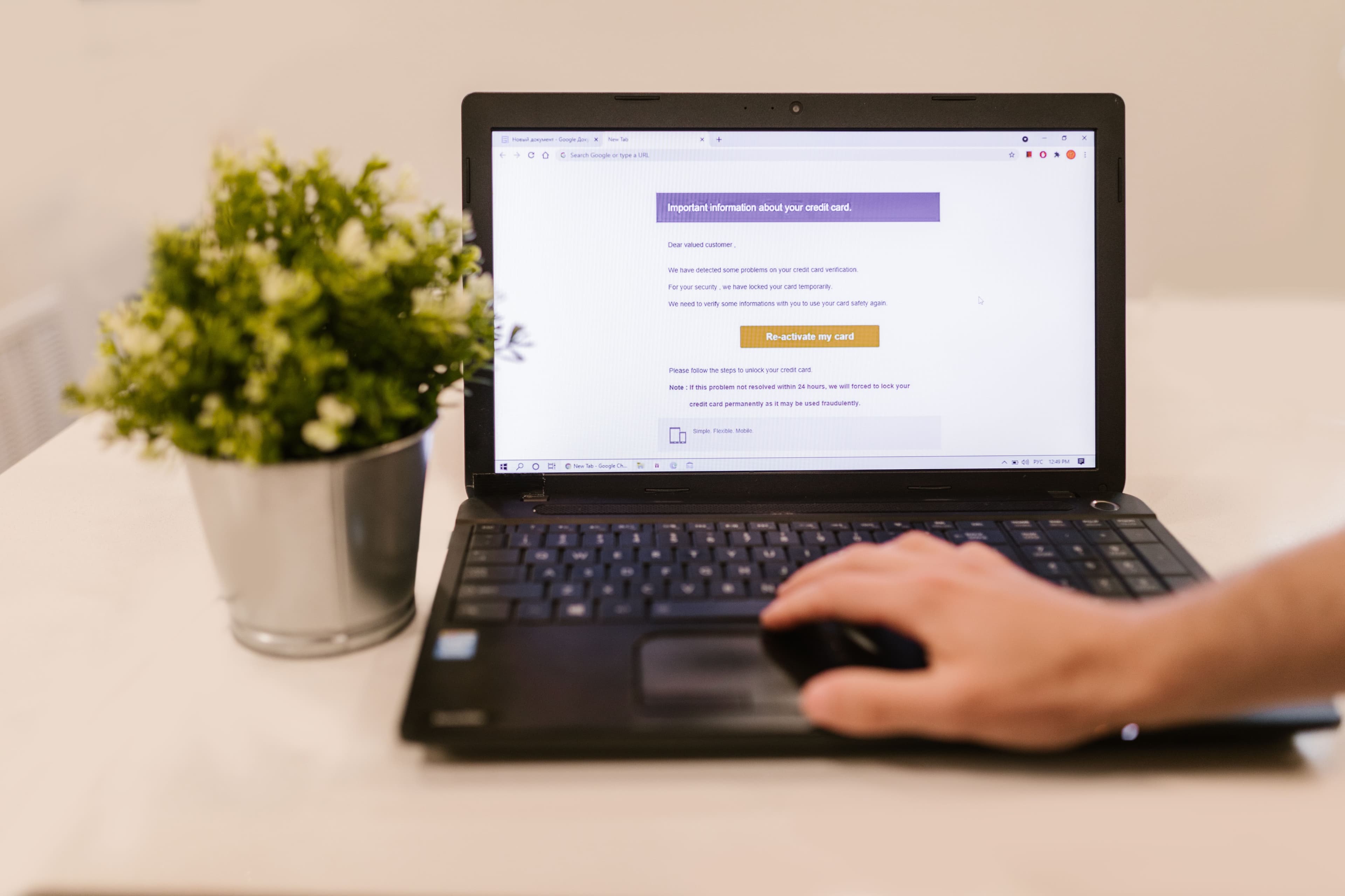 Person reading on a laptop beside a plant.